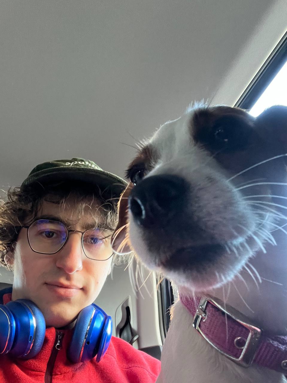 Profile Picture of Davide Palmiotti